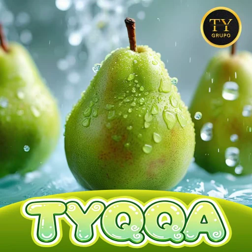 TYQQA-Site oficial com retirada fácil e rápida